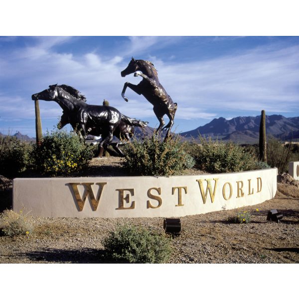 Delivery & Pickup- Westworld